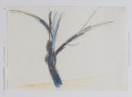 Untitled (After Nature: Albero)