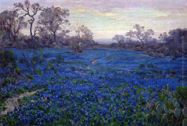 Bluebonnets al crepuscolo, nei pressi di San Antonio