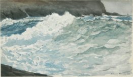 Surf, Collo Prout