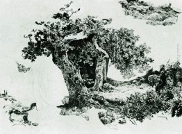 Gruppo di alberi decidui e pietre