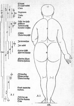 Vista posteriore della femmina