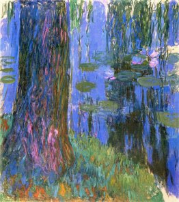 Weeping Willow e Water-Lily Pond