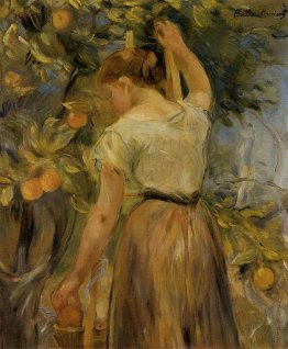 Giovane Donna Picking Oranges