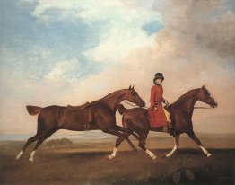 William Anderson con due cavalli da sella