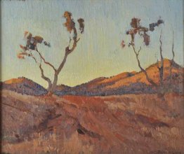 Serata luce, Flinders Ranges, SA