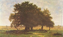 Holm Oaks, Apremont