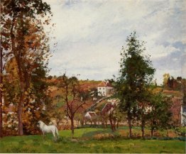 Paesaggio Con Un Cavallo bianco in un campo, L'Ermitage