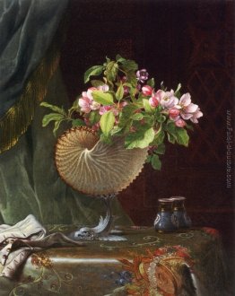 Natura morta con fiori di melo in un guscio di Nautilus