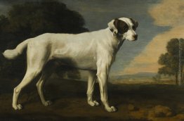 White Dog del visconte Gormanston