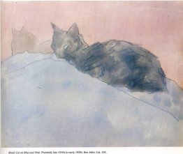 Gatto nero su blu e rosa