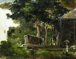 Paesaggio con Casa nel Bosco a Saint Thomas, Antille