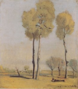 Paesaggio spagnolo