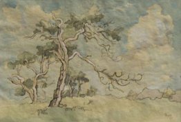 Alberi in un paesaggio