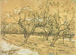 Frutteto con Fioritura Plum Alberi (The Orchard bianco)