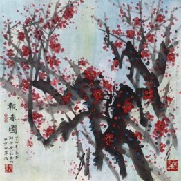 Spring Plum Blossoms