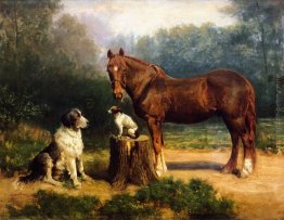 Cavallo e due cani in un paesaggio