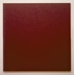 Pittura Rosso: Paliogen Maroon