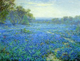 Scene Bluebonnet