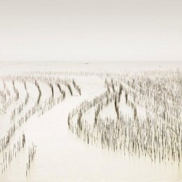 Ingresso canale, Mar Cinese Meridionale, la Cina