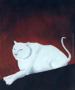 Gatto bianco