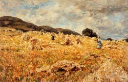 Un Cornfield vicino Wooler