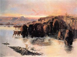 Il Buffalo Herd