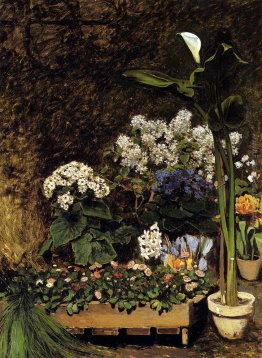 Fiori di primavera