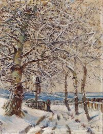 Alberi con Hoar-frost