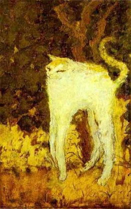 Il gatto bianco