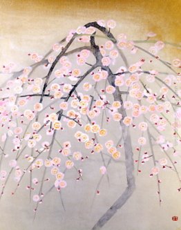 Pallido Plum Tree