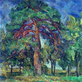 albero di pino