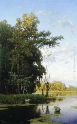 Lago nel parco Gatchina