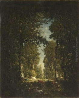 Avenue, Foresta Isle Adam