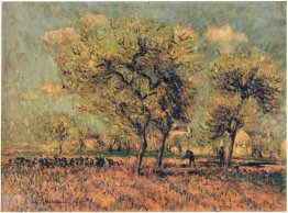 Spring Landscape