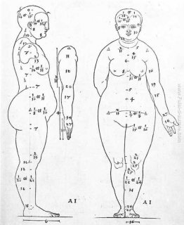 Laterale e frontale vista della testa femminile