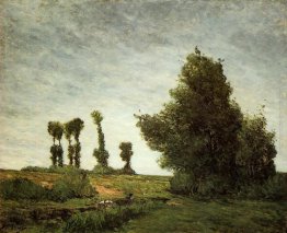 Paesaggio con pioppi