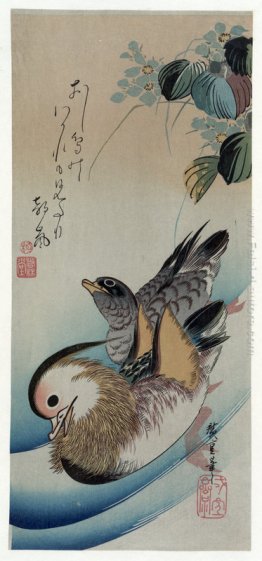 Due Mandarin Ducks