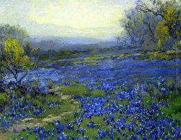 Mattina in Bluebonnets