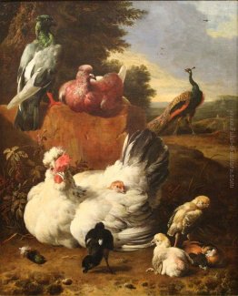 La poule blanche