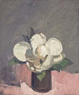 Magnolia