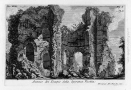 Le antichità romane, t. 1, Piatto XVIII. Rovine del Tempio della