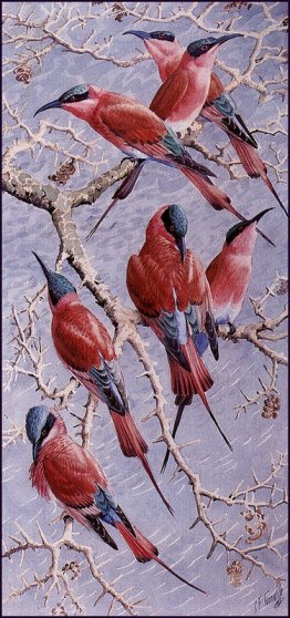 Carmine Bee Eaters