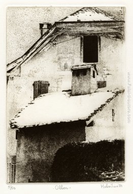 Tetti del villaggio Ollon, nel canton Vaud, Svizzera