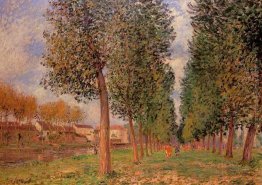 Il Poplar Avenue di Moret, nuvoloso Giorno, Mattina