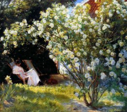 Marie nel giardino (The Roses)