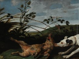 La cattura di un Greyhound Cinghialetto