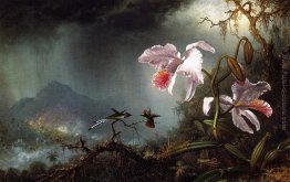 Due Colibrì di combattimento con due orchidee