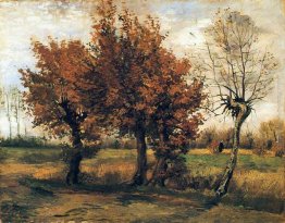 Paesaggio autunnale con quattro alberi