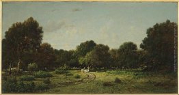 Radura nella foresta alta della foresta di Fontainebleau X, ha d